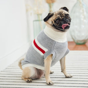 French Bulldog in Grey Trekking Dog Sweater