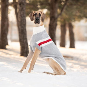 Great Dane in Grey Trekking Dog Sweater