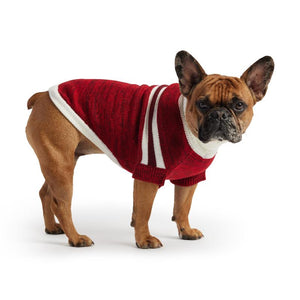 Red Trekking Dog Sweater on French bulldog