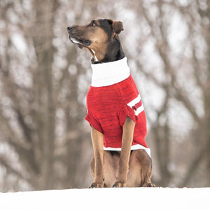 Red Trekking Dog Sweater fits large breeds