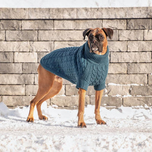 Boxer in Dark Teal Chalet Dog Sweater