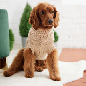 Cocker Spaniel in Chalet Dog Sweater - Oatmeal