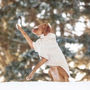 Vizsla wearing Chalet Dog Sweater - Oatmeal