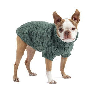 Boston Terrier in Chalet Dog Sweater - Sage