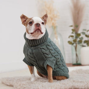 Boxer in Sage Chalet Dog Sweater