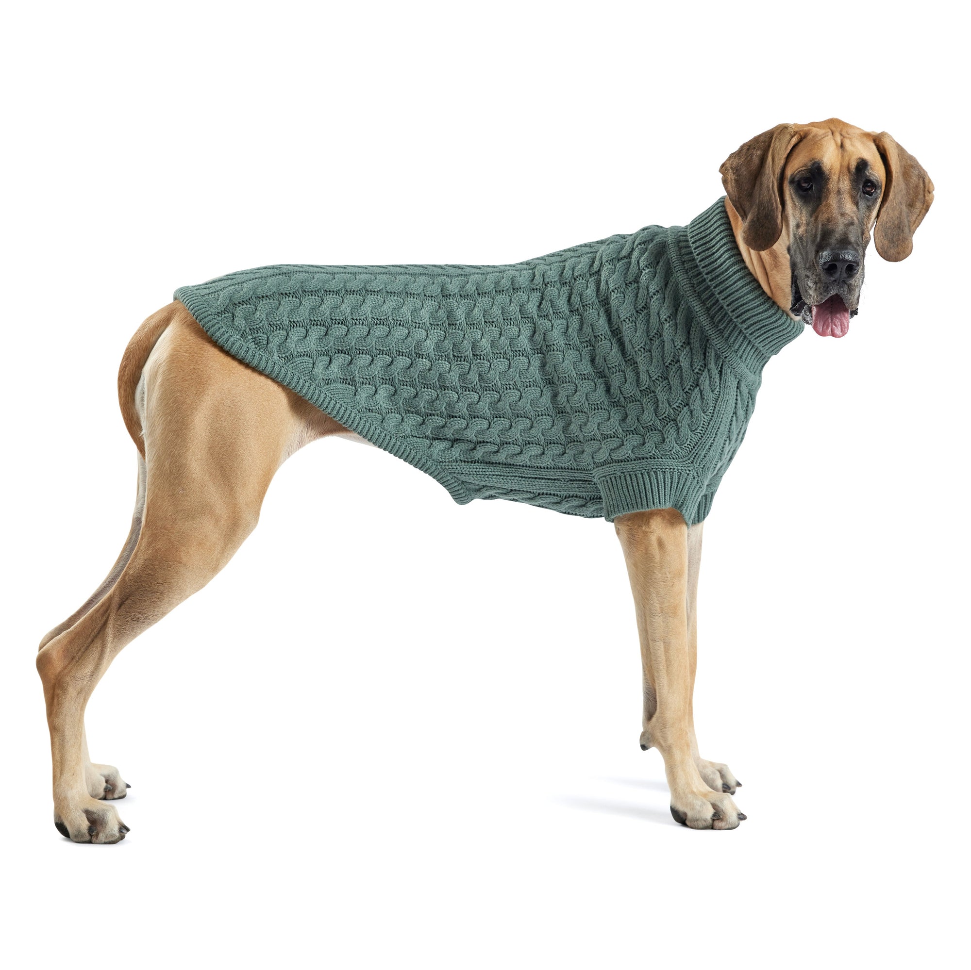 Chalet Dog Sweater - Sage