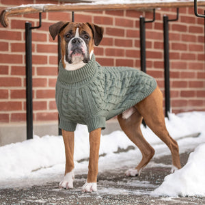 Boxer in Chalet Dog Sweater - Sage