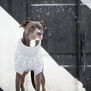 Pitbull in Chalet Dog Sweater - Grey