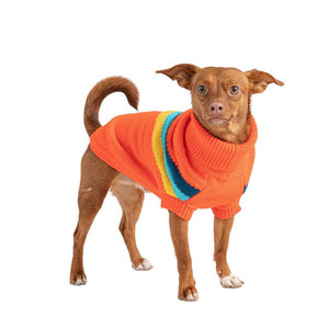 Chihuahua in Alpine Dog Sweater - Orange