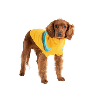 Cocker Spaniel in Alpine Dog Sweater - Yellow