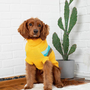 Cocker Spaniel in Alpine Dog Sweater - Yellow