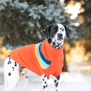 Dalmation in Alpine Dog Sweater - Orange