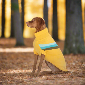 Vizsla in Alpine Dog Sweater - Yellow