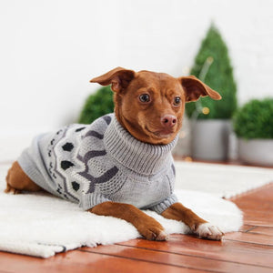 Chihuahua in Heritage Dog Sweater - Gray