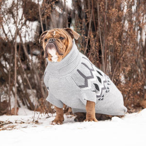 Bulldog in Heritage Dog Sweater - Gray