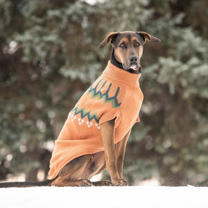 Doberman in Heritage Dog Sweater - Hazel