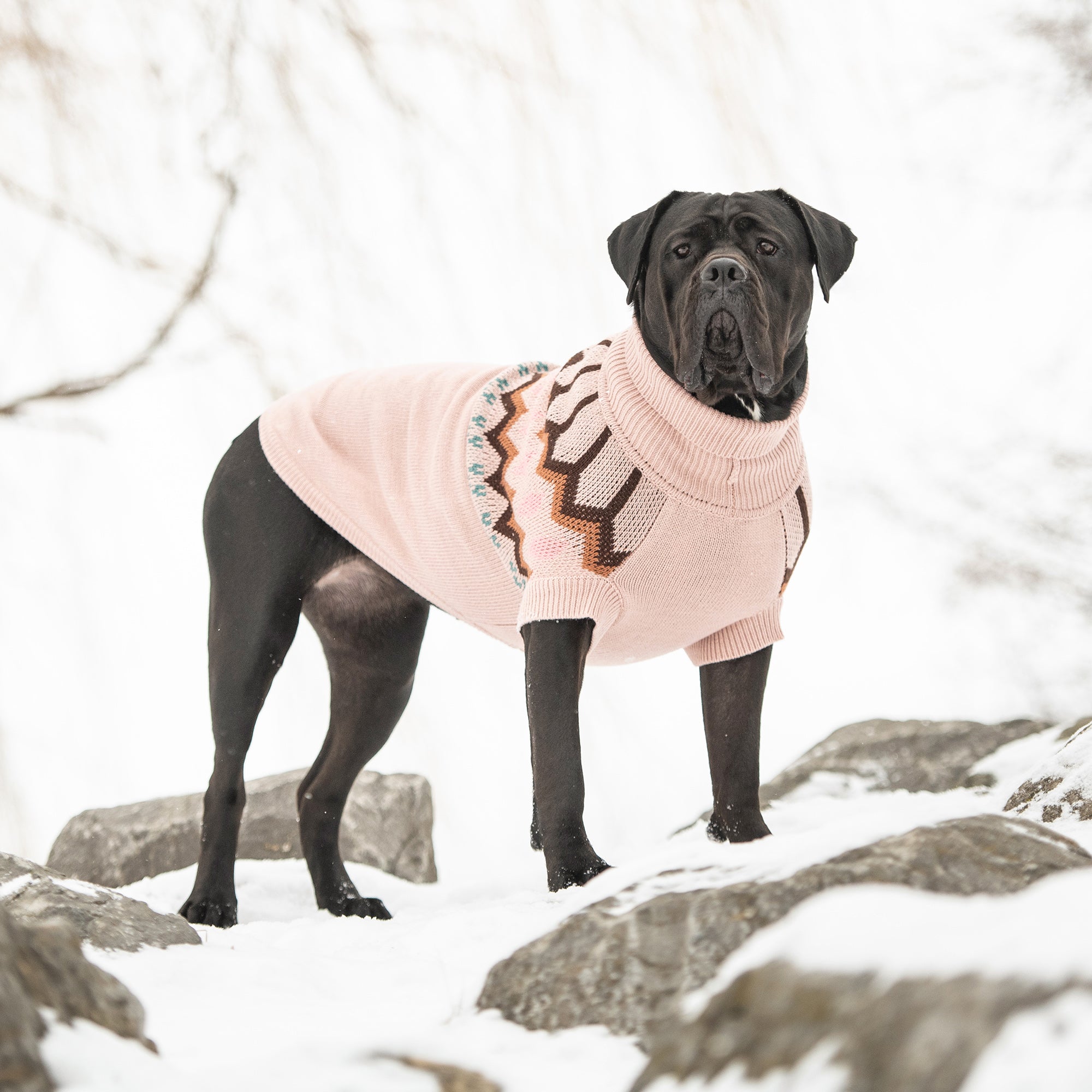 Pink Heritage Dog Sweater | Poshdoglife.com - Posh Dog Life