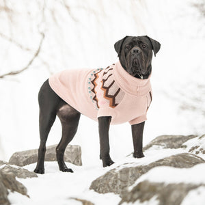 Mastiff wearing Heritage Dog Sweater - Pink