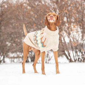 Viszla wearing Heritage Dog Sweater - Sand