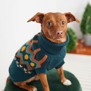 Chihuahua wearing Heritage Dog Sweater - Teal