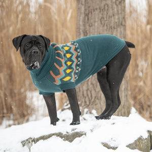 Mastiff in Heritage Dog Sweater - Teal