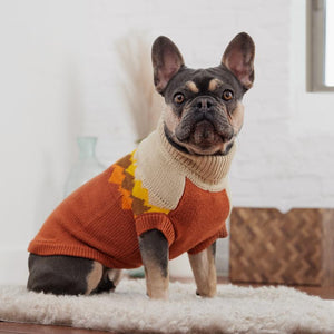 Frenchie in Fireside Dog Sweater - Chili