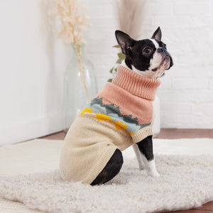 Boxer in Fireside Dog Sweater - Clay