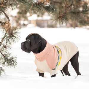 Mastiff in snow in Fireside Dog Sweater - Clay