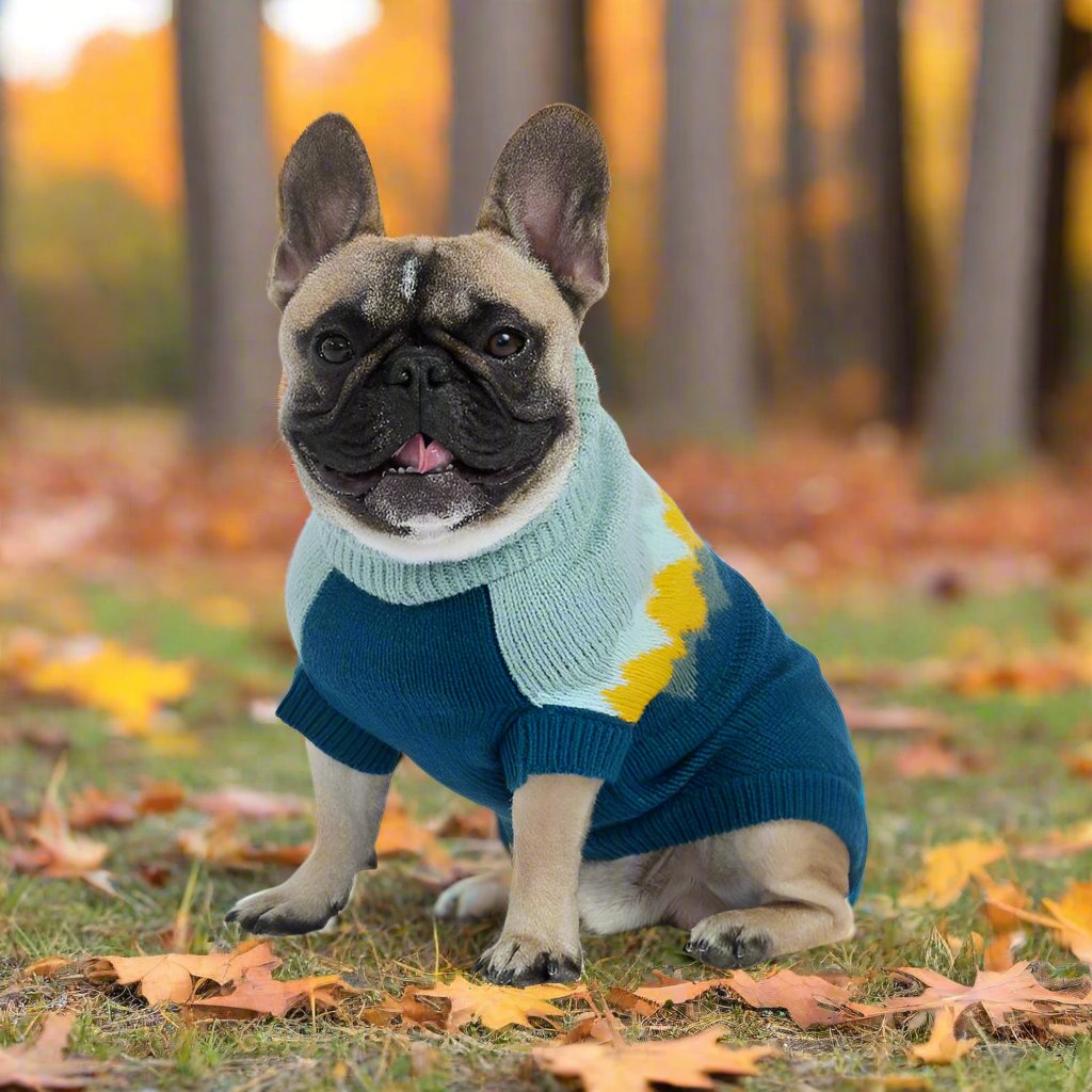 Fireside Dog Sweater - Teal