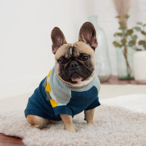 French bulldog in Fireside Dog Sweater - Teal