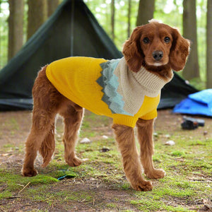 Cocker Spaniel wearing Fireside Dog Sweater - Yellow