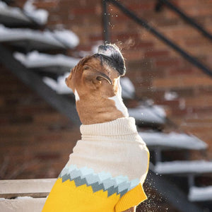 Boxer in Fireside Dog Sweater - Yellow