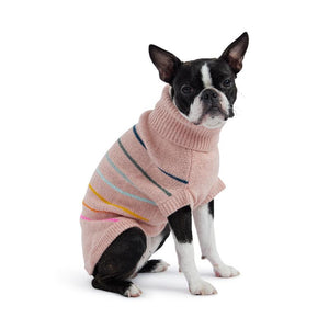 Arctic Dog Sweater  on Boston Terrier