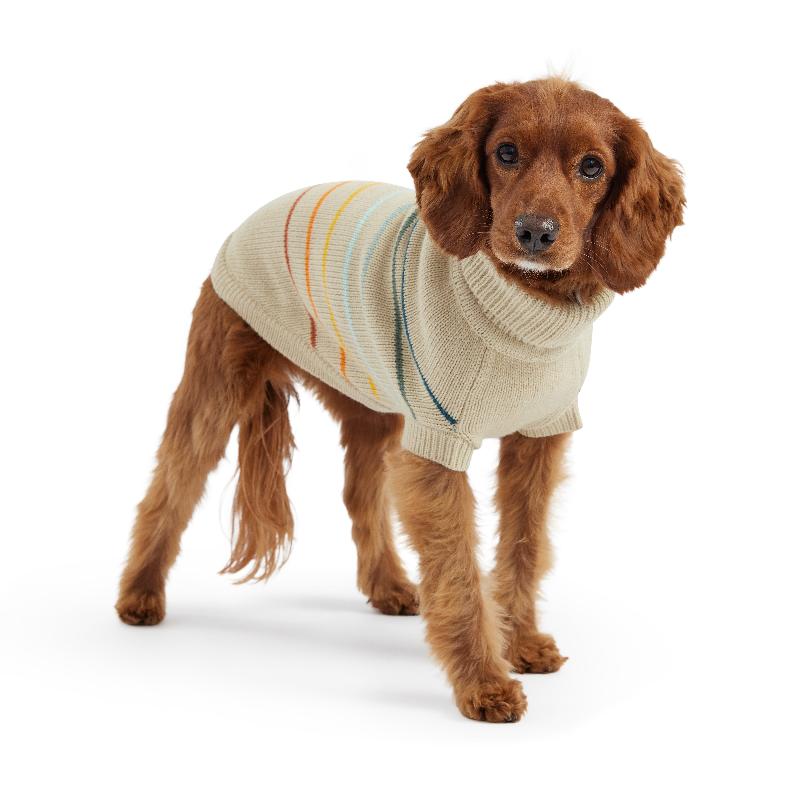 Cocker Spaniel wearing Arctic Stripe Dog Sweater - Sand 