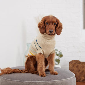 Cocker Spaniel wearing Arctic Stripe Dog Sweater - Sand