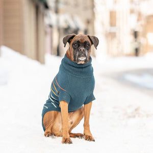 Boxer in Arctic Stripe Dog Sweater - Teal