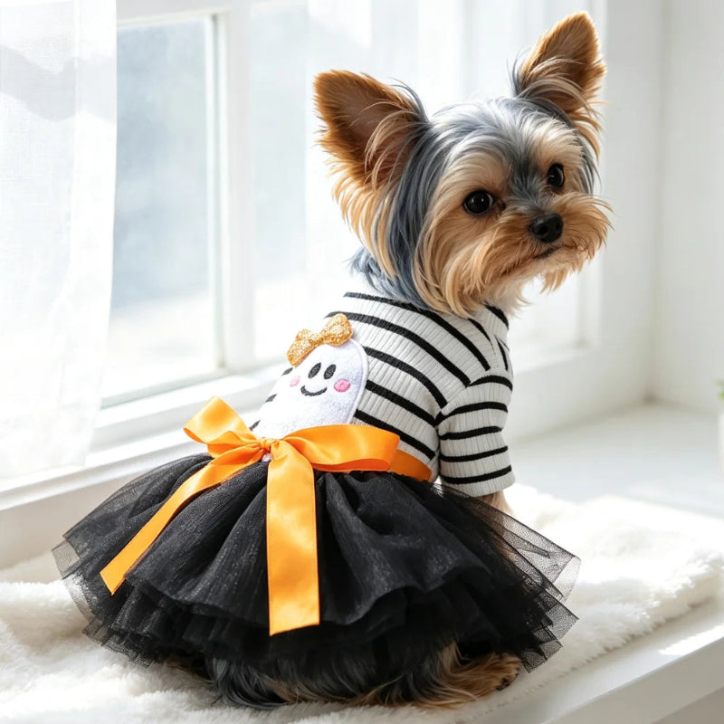 A small Yorkshire Terrier sits on a white window sill wearing a Halloween-themed pet dress. The dress features a black and white horizontally striped knit top with a white ghost applique, a black tulle skirt, and a large orange satin bow.