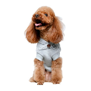 Poodle in Gray Cable Knit Dog Sweater.