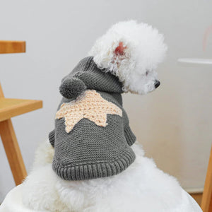 White dog wearing a gray knitted sweater with a star design indoors.