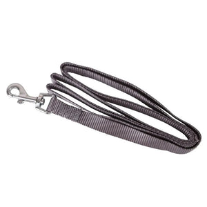 Comes with a gray leash