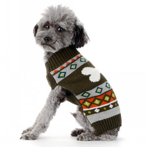 Poodle wearing Green Bone Dog Sweater