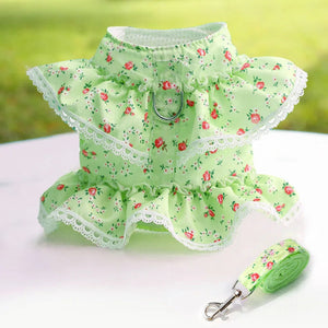 Green floral do g harness with matching leash on a white surface
