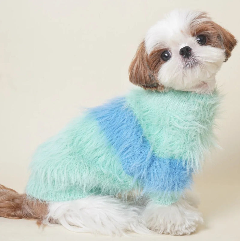 Small dog wearing a blue and green striped sweater on a beige background
