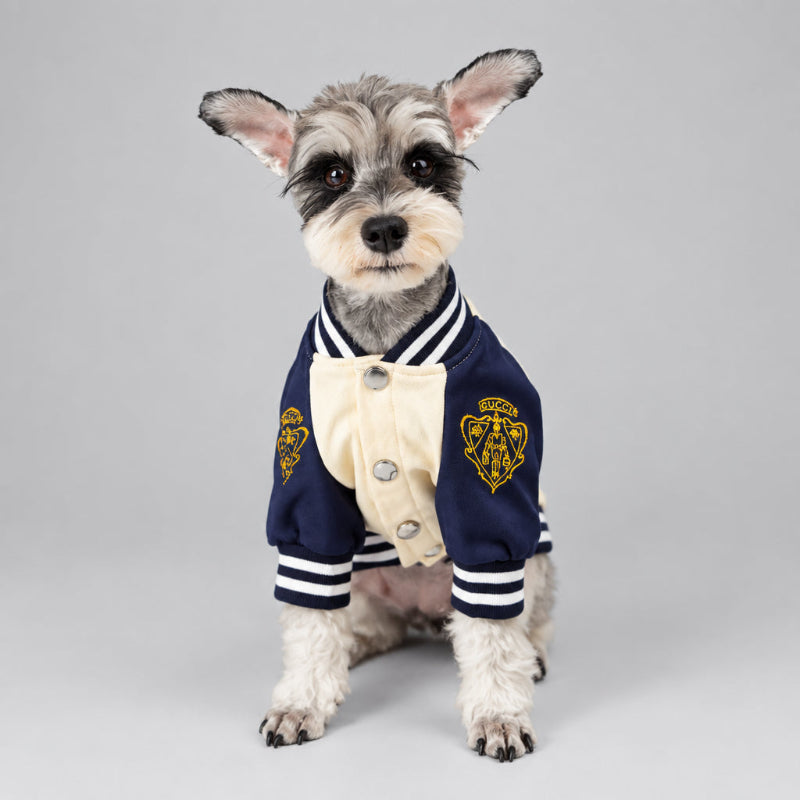Cream and navy dog jacket with Gucci logo on a white background