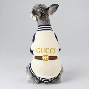 A small gray dog wearing a cream-colored Gucci dog jacket with navy stripes and the classic green and red logo belt detail. 