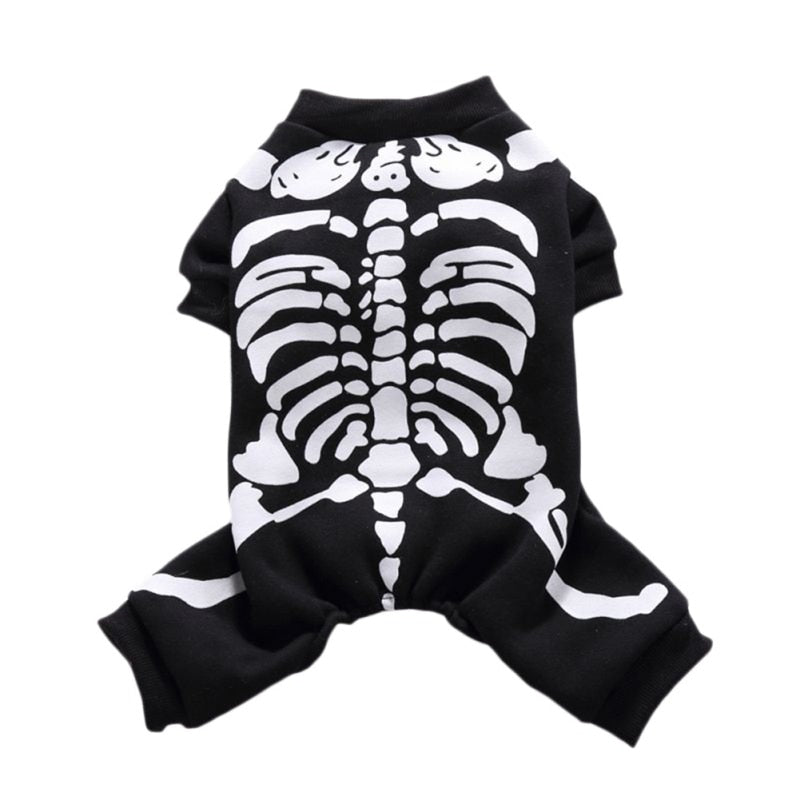 Halloween Skeleton Dog Costume on Poodle