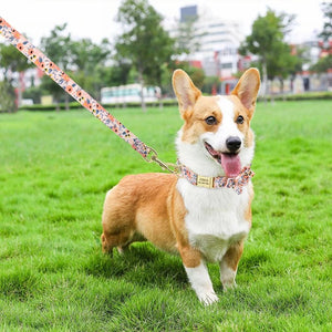 Peachy Pink Flower Dog Collar & Leash Set fits small, medium and large dogs, including this Corgi.