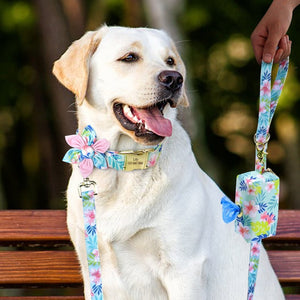 This luxurious floral collar set is perfect for small, medium and large breed dogs, including this Yellow Labrador.