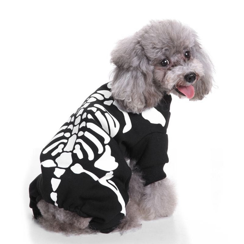 Halloween Skeleton Dog Costume on Poodle