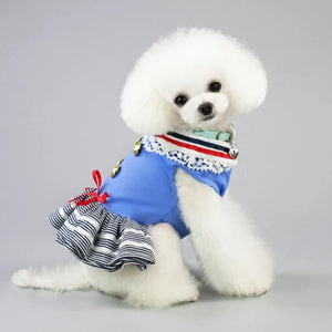 Poodle wearing light blue Nautical Sailor Dog Dress.
